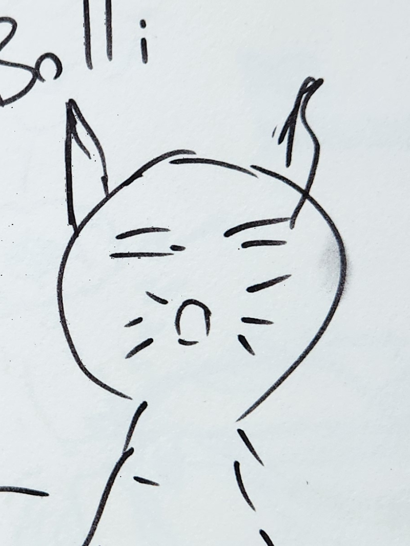 Handgezeichnete Katze Belli