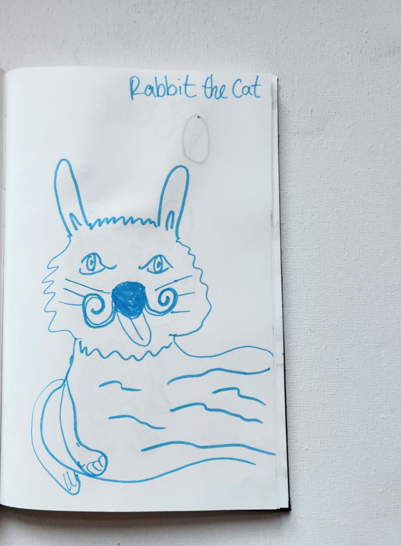 Handgezeichnete Katze Rabbit the Cat