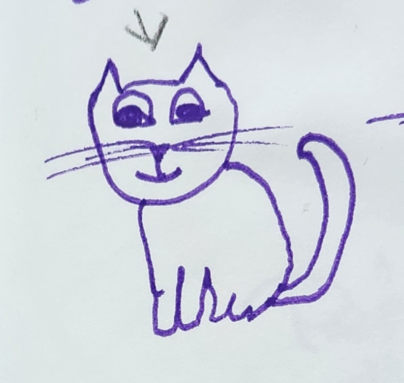 Handgezeichnete Katze Schnurrwuschel