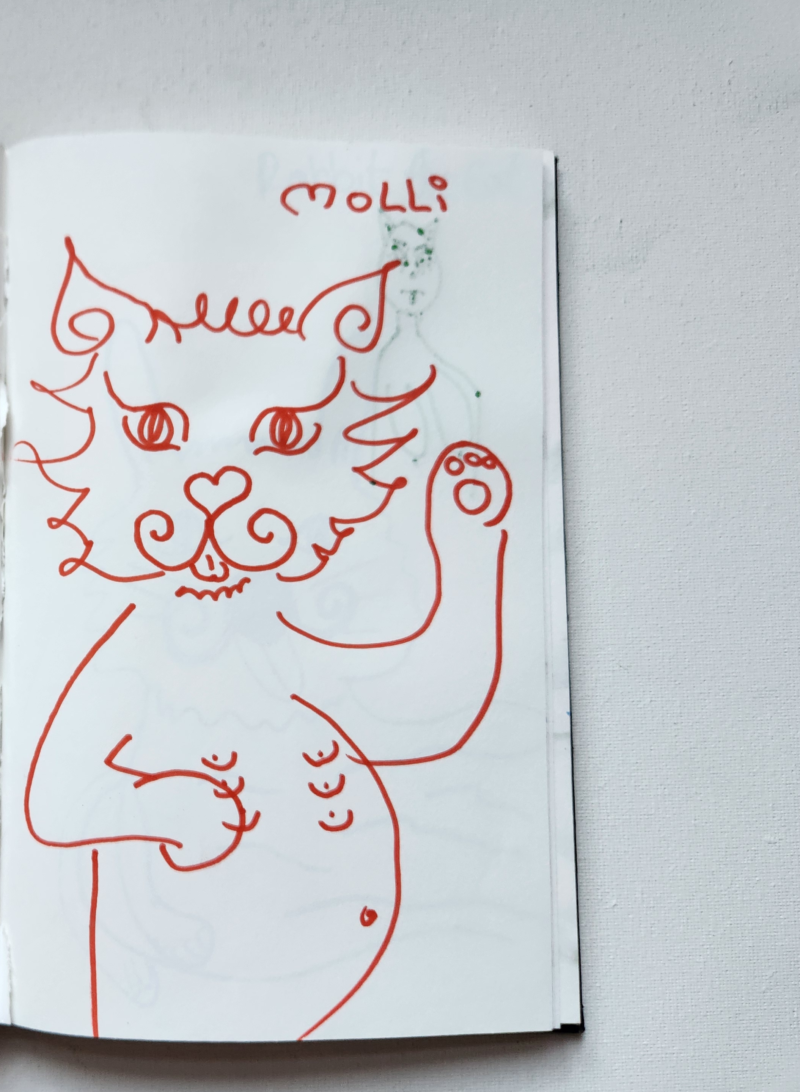 Handgezeichnete Katze MOLLI