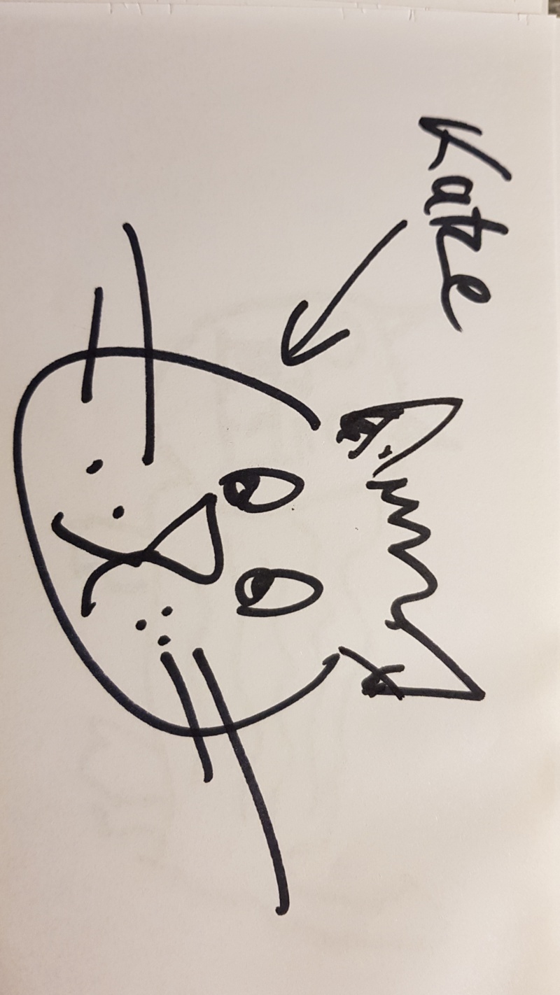 Handgezeichnete Katze Unbenannt