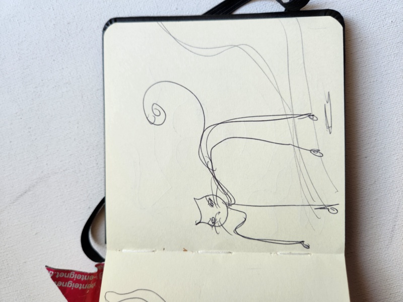 Handgezeichnete Katze Unbenannt