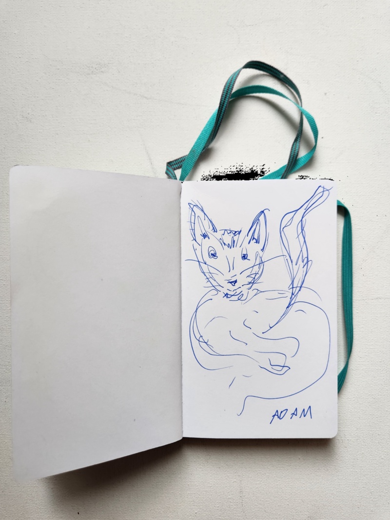 Handgezeichnete Katze ADAM