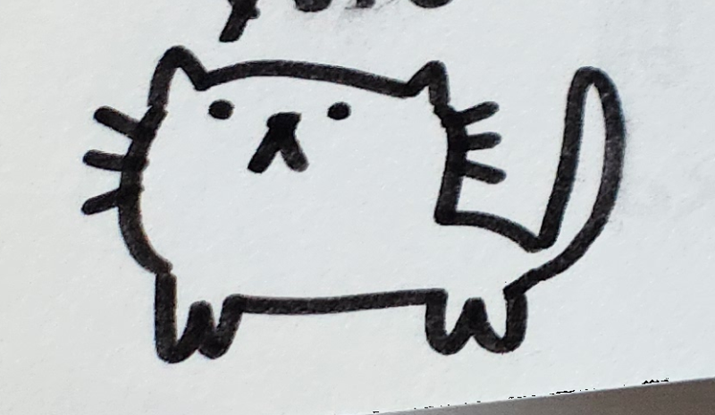 Handgezeichnete Katze Schnurrwuschel