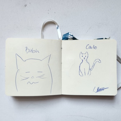 Unbenannte Katzenzeichnung