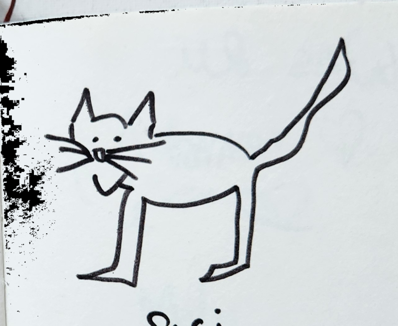 Handgezeichnete Katze Schnurri