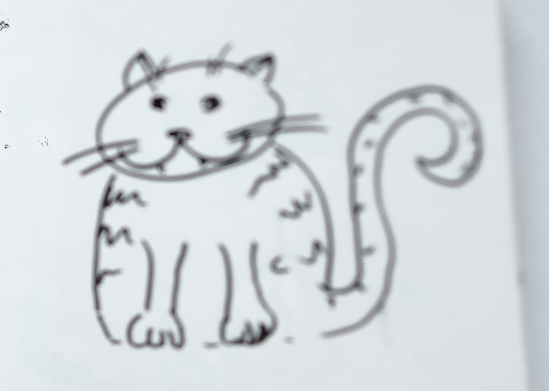 Handgezeichnete Katze Wischelzwirbel