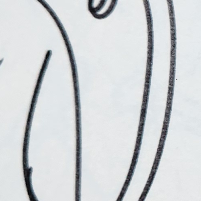 Schlumpfkatze