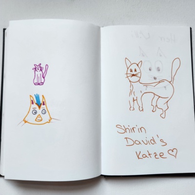 Unbenannte Katzenzeichnung