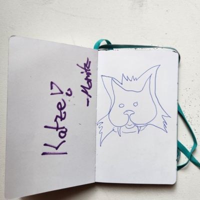 Wuschelkatze