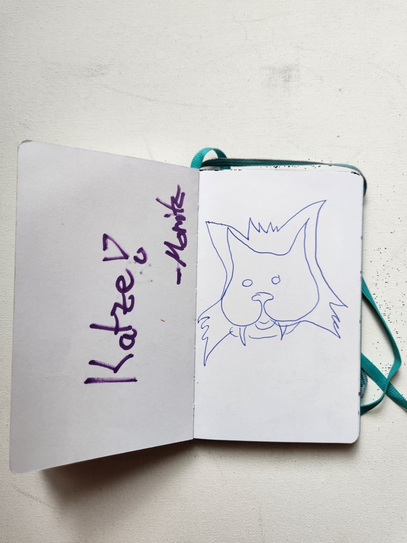 Handgezeichnete Katze Wuschelkatze