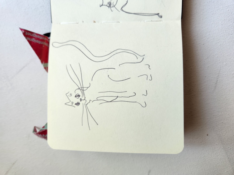 Handgezeichnete Katze Unbenannt