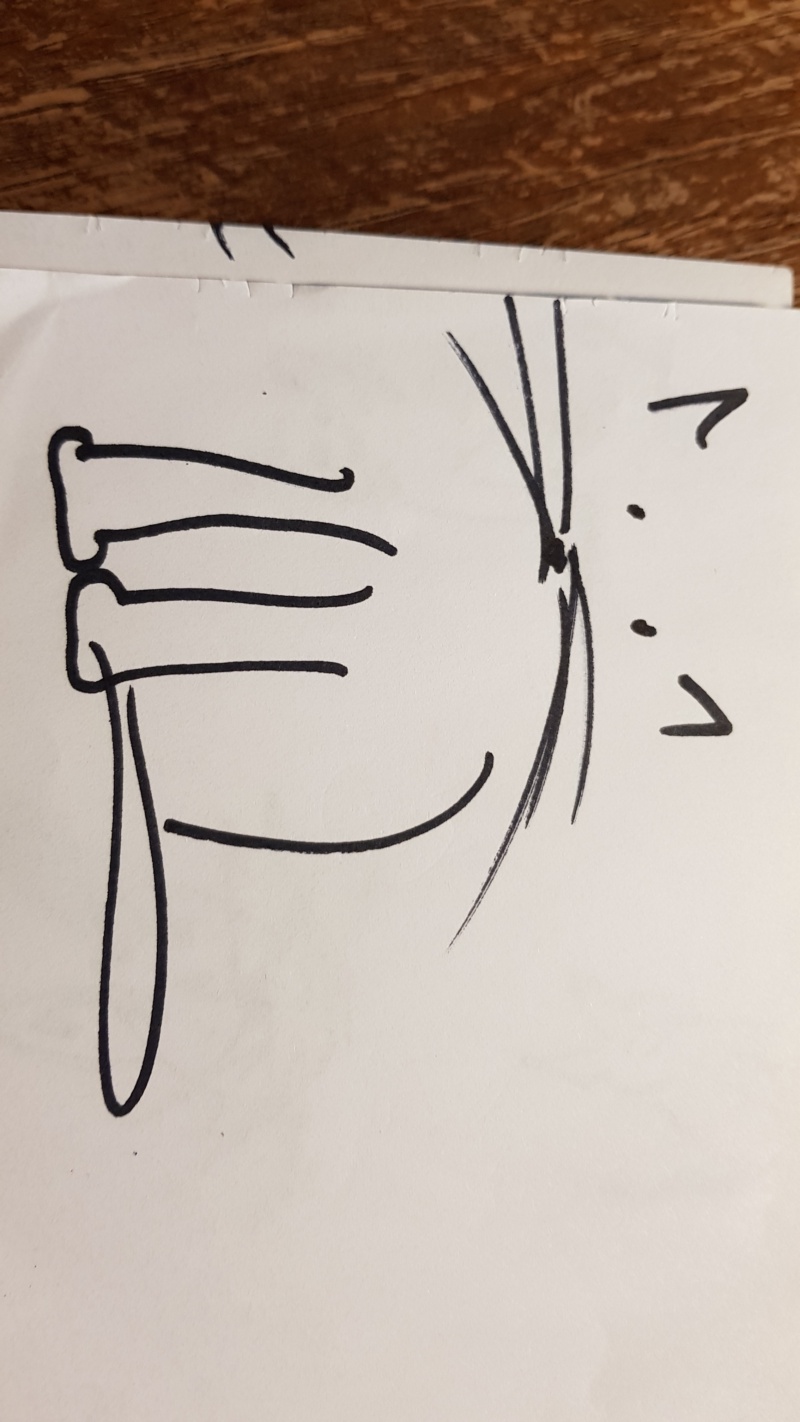Handgezeichnete Katze Unbenannt