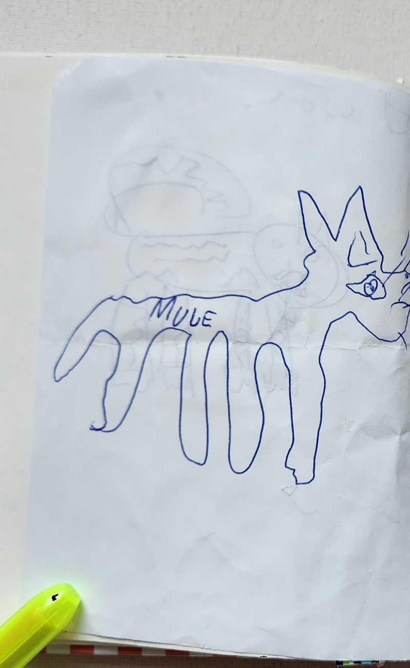 Handgezeichnete Katze MULE