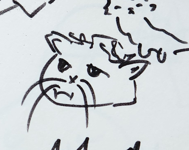 Handgezeichnete Katze Lotte-Löwin