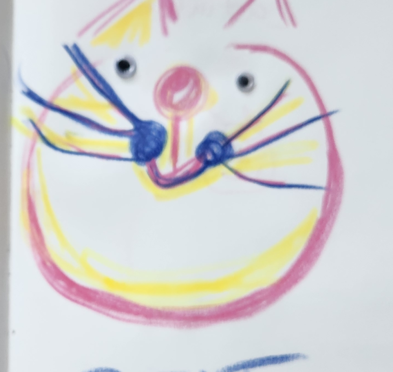 Handgezeichnete Katze Sonnenfitz