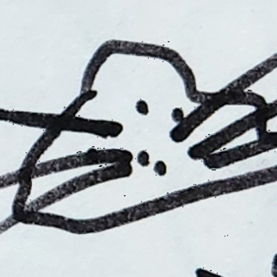 Wuschelbart