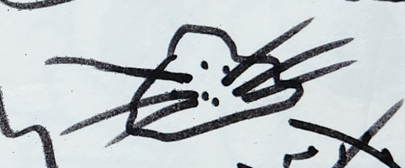 Handgezeichnete Katze Wuschelbart