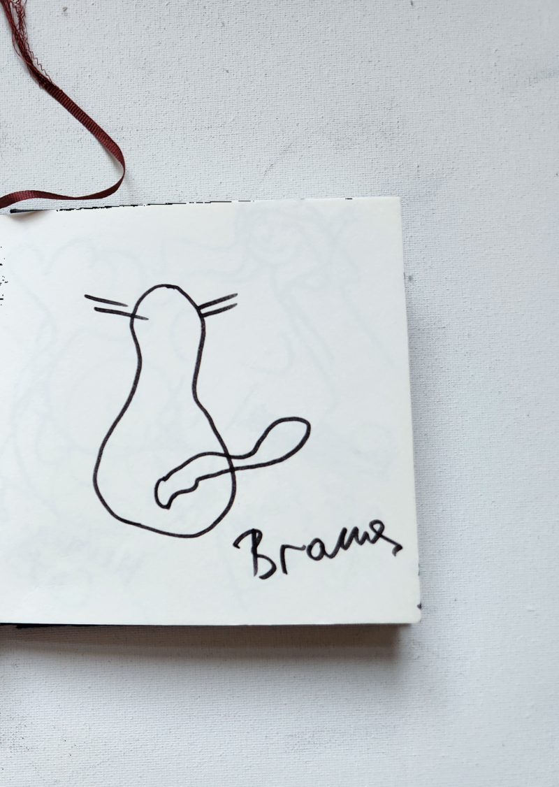 Handgezeichnete Katze Bramy