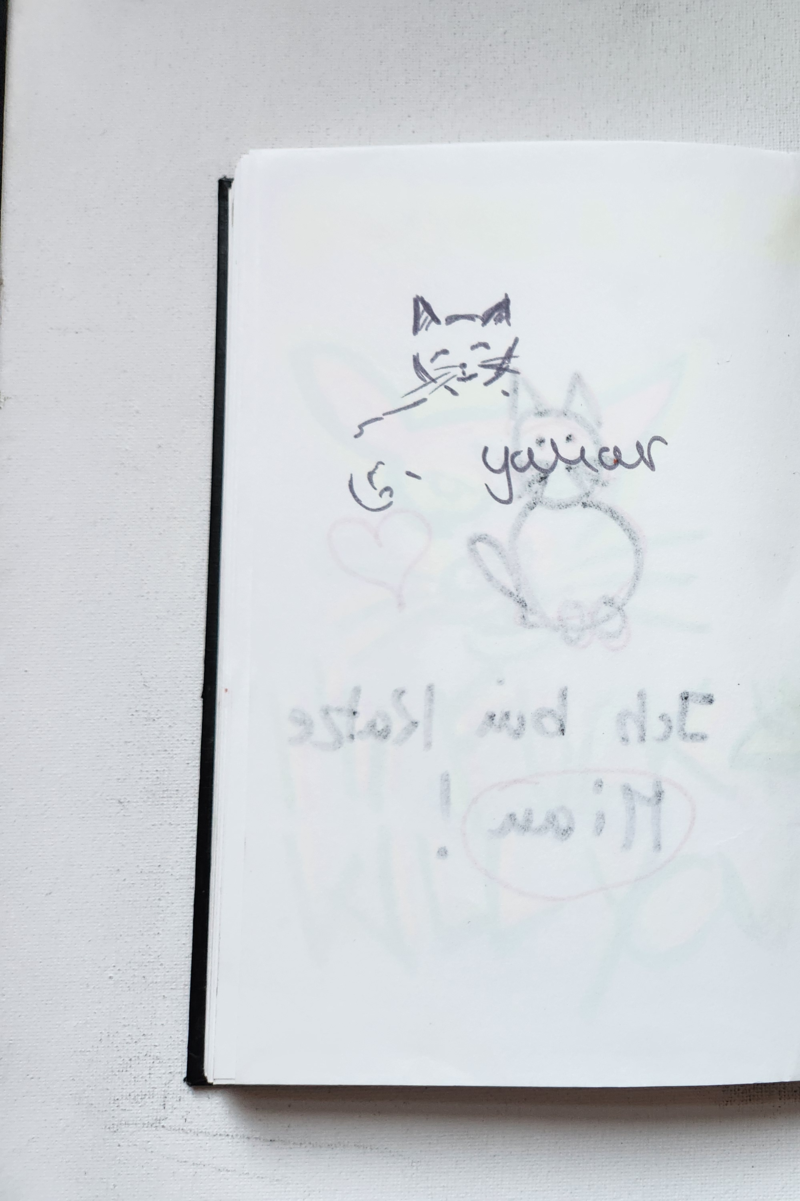 Handgezeichnete Katze yayner