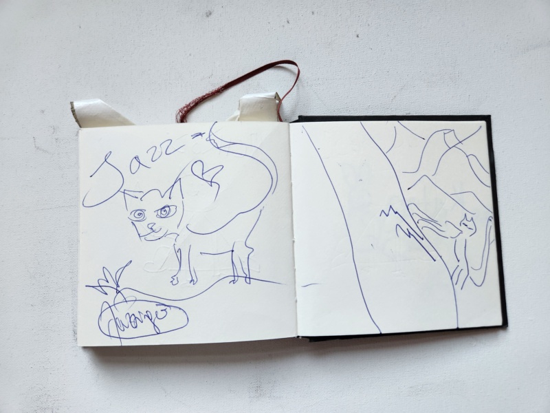 Handgezeichnete Katze Unbenannt