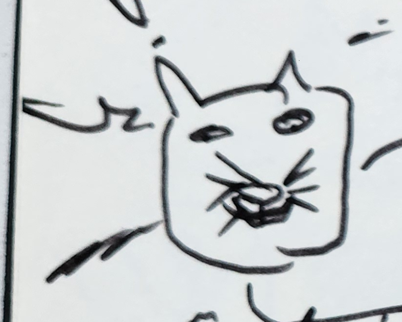 Handgezeichnete Katze Zick Zack