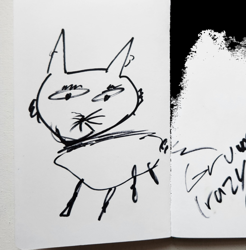 Handgezeichnete Katze Murrwutz