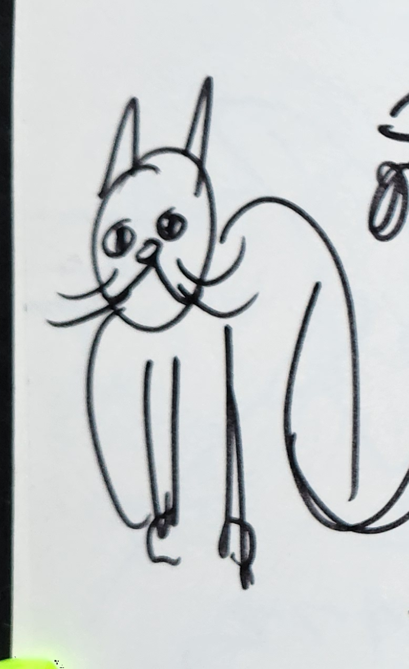 Handgezeichnete Katze Schnurzel