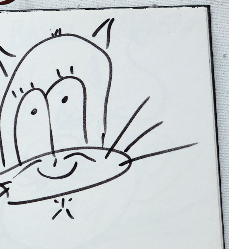 Handgezeichnete Katze Wuschelbart
