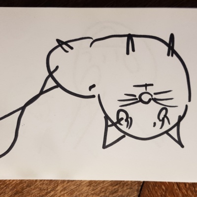 Unbenannte Katzenzeichnung