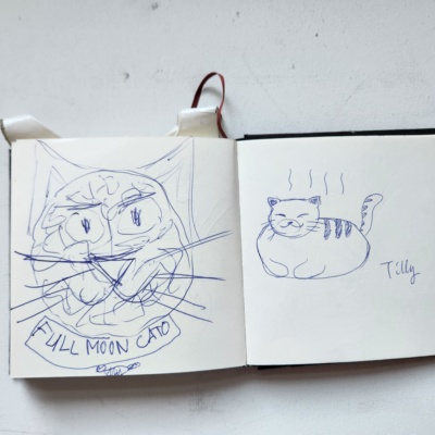 Unbenannte Katzenzeichnung