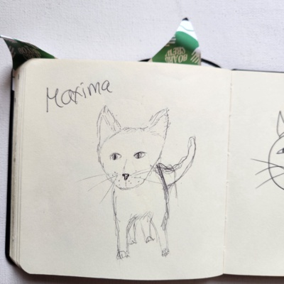 Unbenannte Katzenzeichnung