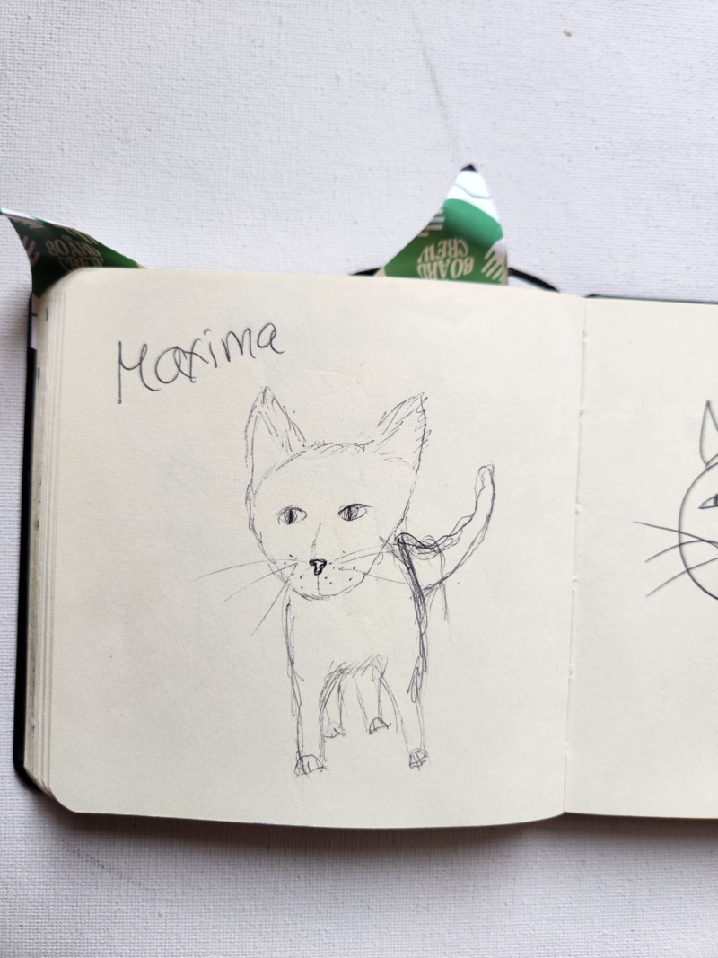 Handgezeichnete Katze Unbenannt