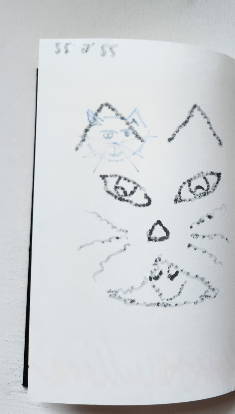 Handgezeichnete Katze Zwetschge