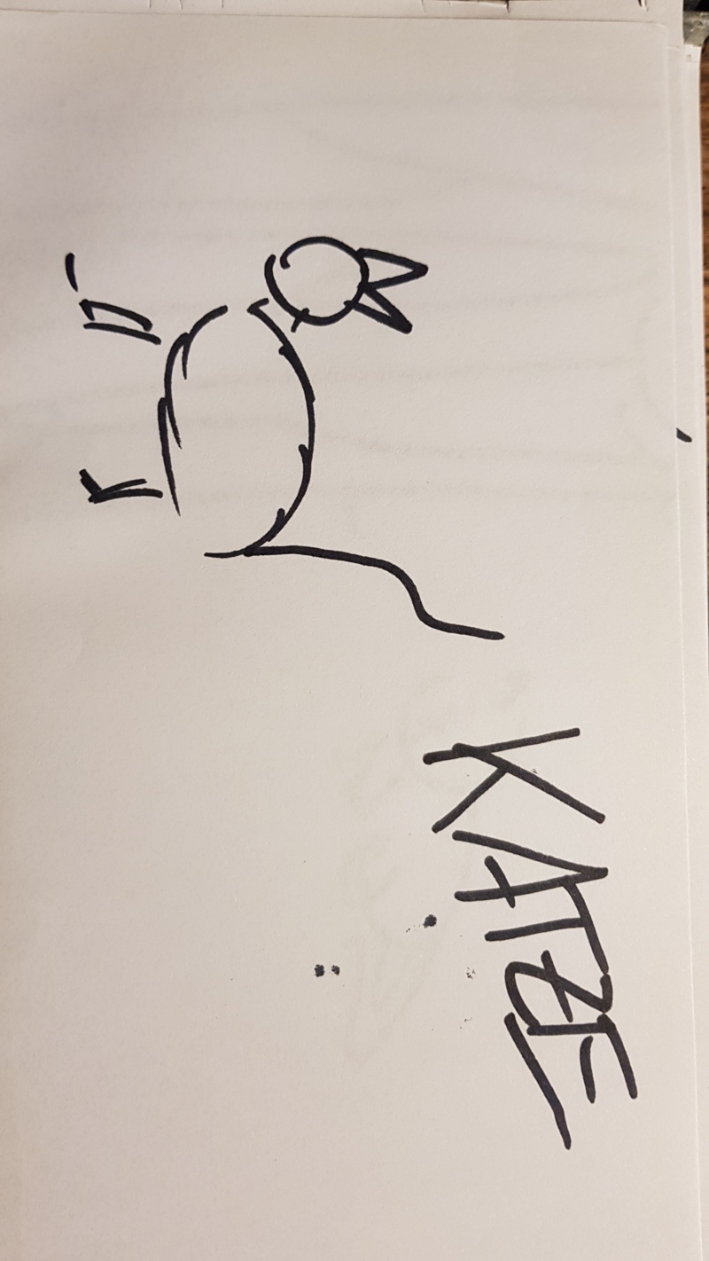 Handgezeichnete Katze Unbenannt