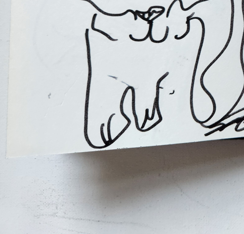 Handgezeichnete Katze Wuschelbart