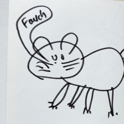 Fauli