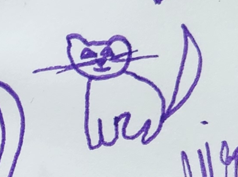 Handgezeichnete Katze Wuschelbart