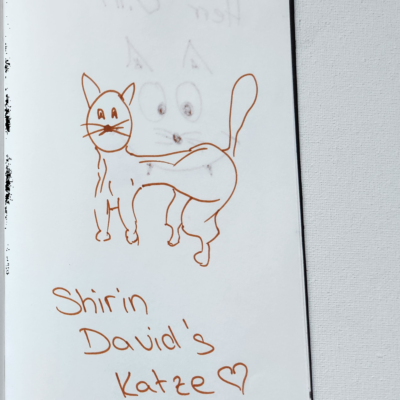 Shirin