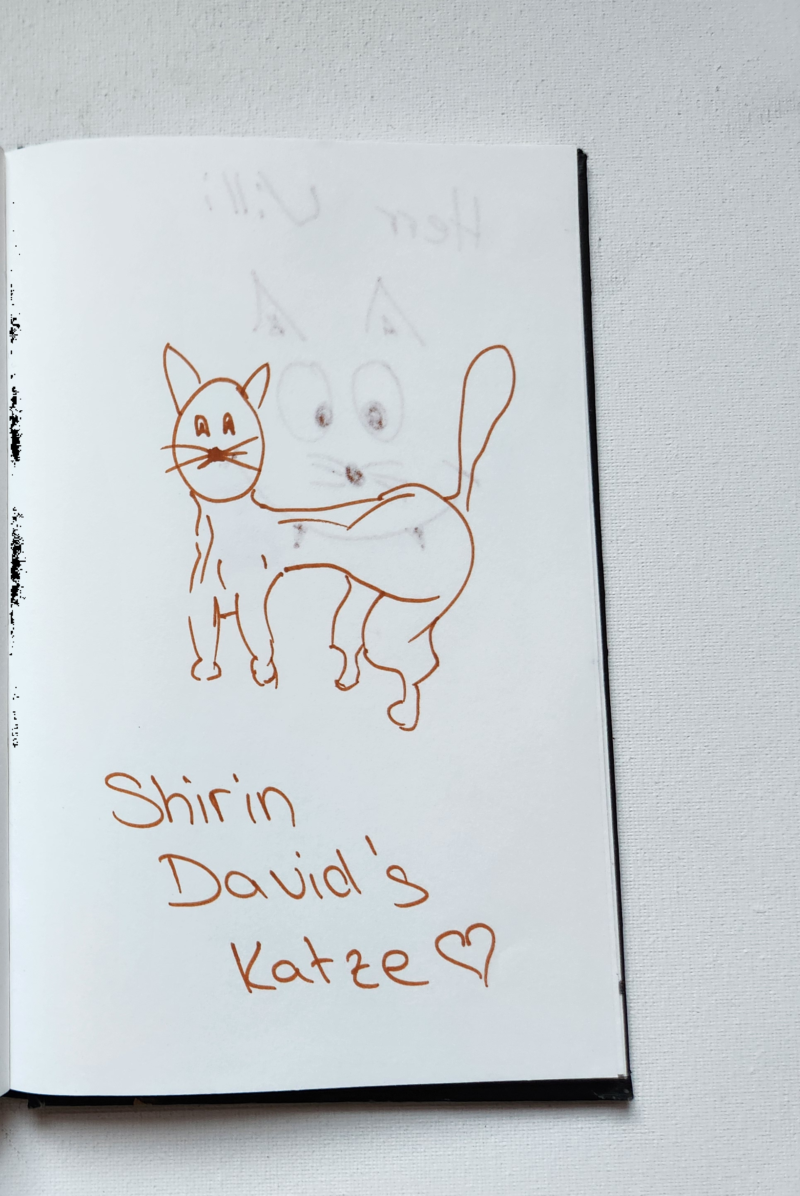Handgezeichnete Katze Shirin
