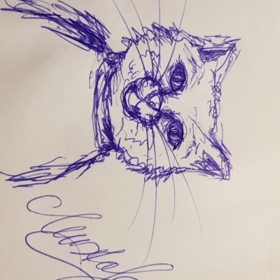Unbenannte Katzenzeichnung