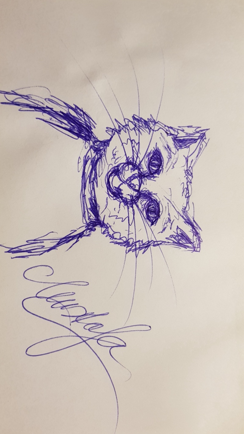 Handgezeichnete Katze Unbenannt