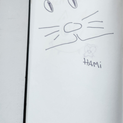 HAMI