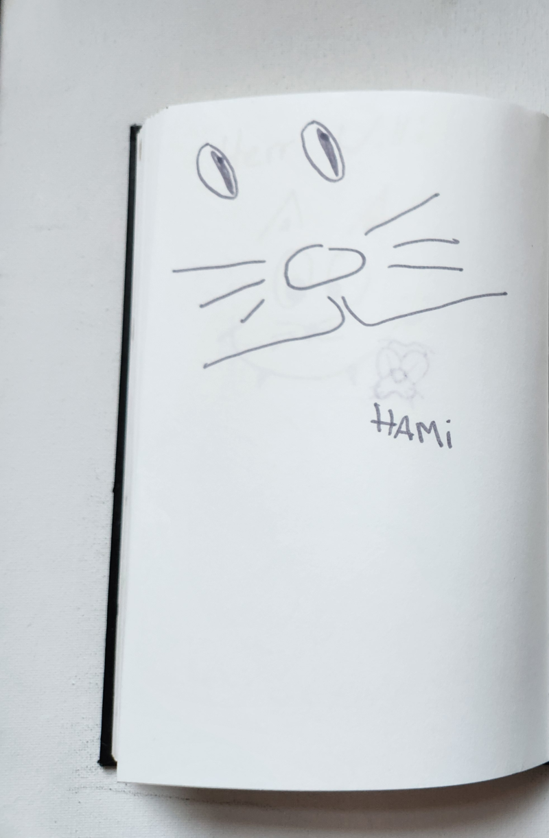 Handgezeichnete Katze HAMI