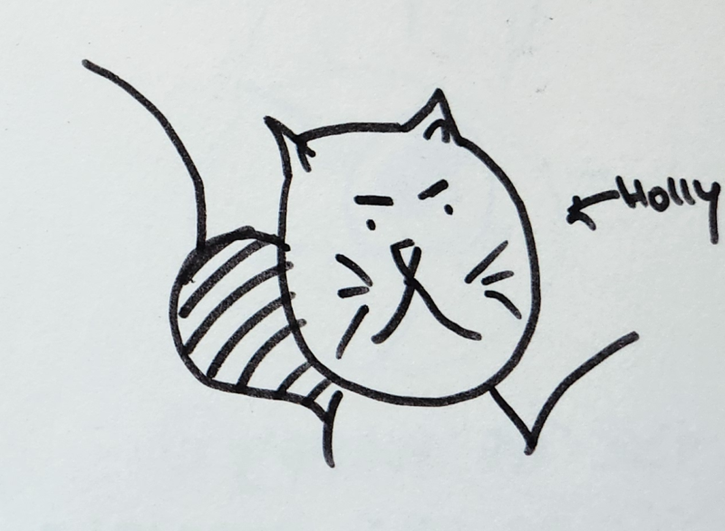 Handgezeichnete Katze Holly