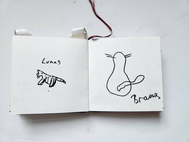 Handgezeichnete Katze Unbenannt