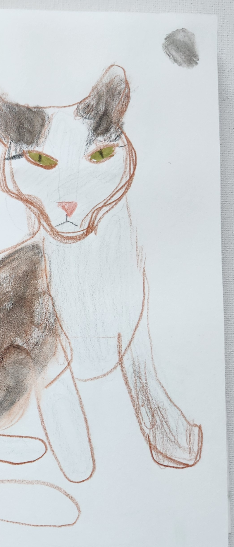 Handgezeichnete Katze Mauzi Pünktchen