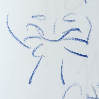 Wuschelbart