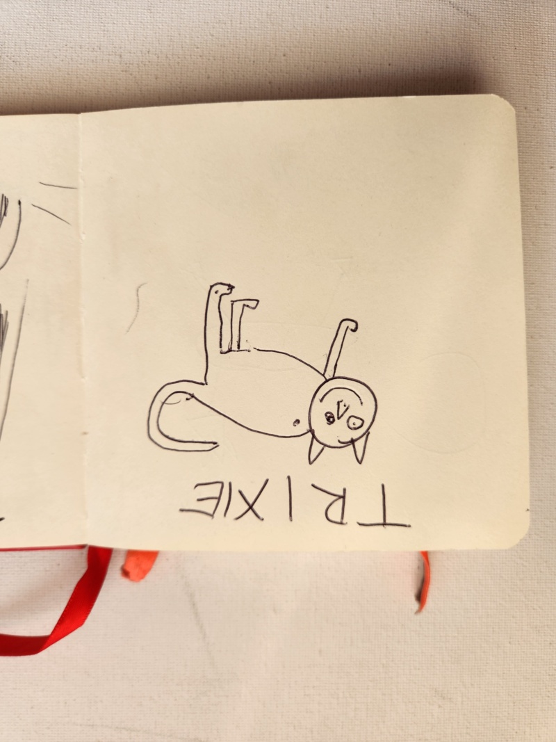 Handgezeichnete Katze Unbenannt