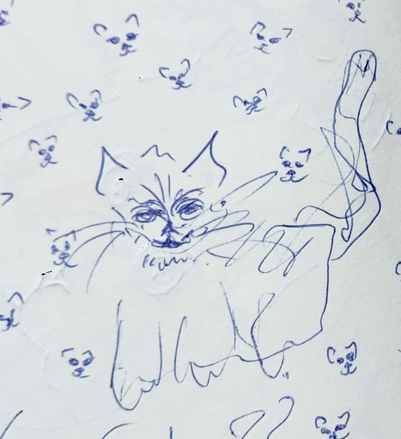 Handgezeichnete Katze Schnurrel